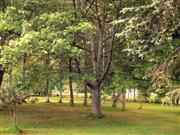 hotelový park